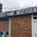 Crueldad sin límites en Paysandú: decapitaron a la perra Yuli y la dejaron en la puerta de su dueño