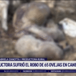 Imputado el hombre acusado de homicidio e incendio en Parque Rodó para eliminar evidencias
