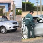 Australia: un adolescente quedó en estado crítico tras ser atacado por un tiburón en una playa de Sídney