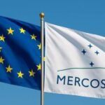 Prevención de accidentes en piscinas: guía completa para evitar tragedias