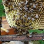 “Sudestada” con vientos de fuerza 9: advierten por un temporal severo en gran parte del país