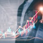 Ambiente articula una estrategia nacional contra el avance del picudo rojo