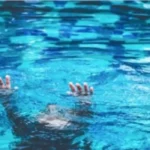 Mercosur y Unión Europea firman este sábado un acuerdo histórico tras más de 25 años de negociaciones