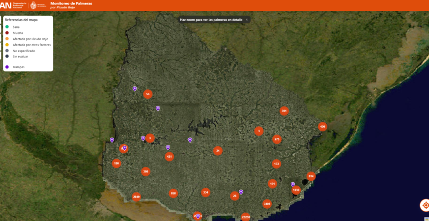 picudo rojo plaga en uruguay