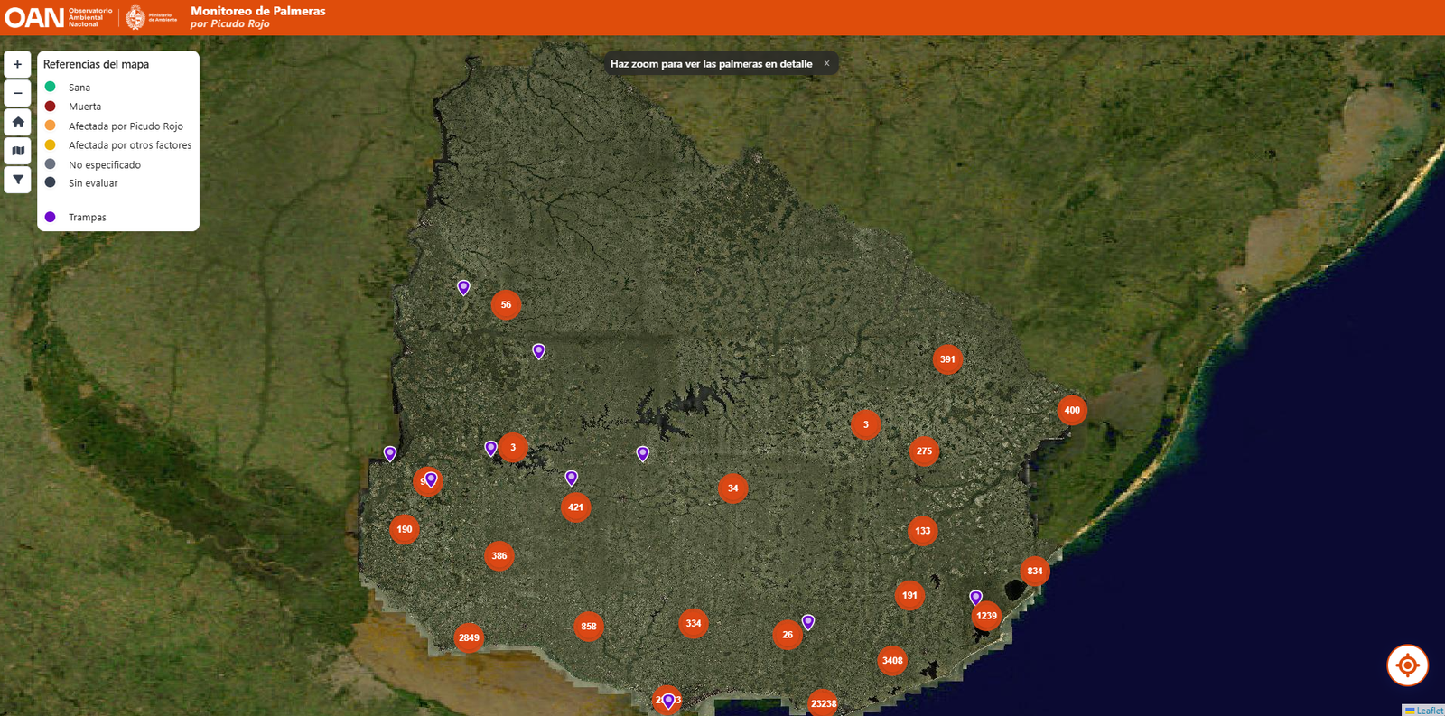 picudo rojo plaga en uruguay