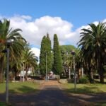 Joven provocó daños en la sede judicial tras ser notificado por colocación de dispositivo electrónico