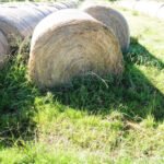 Uruguay enviará bomberos a Chile para apoyar el combate de incendios en Ñuble y Biobío