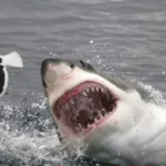 Siniestro en Ruta 39: un automovilista quedó atrapado tras perder el dominio del vehículo