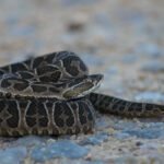 Ministerio de Trabajo busca destrabar el conflicto por el cierre de la planta de Conaprole en Rivera