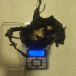 Operativo Ñandubay en Artigas: más de 220 controles en una semana para prevenir delitos