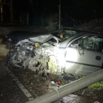 Montevideo: dos árboles cayeron casi al mismo tiempo y el episodio no terminó en tragedia de milagro