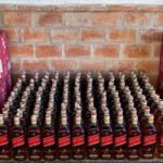 Operativos Ñandubay: controlaron 83.282 vehículos e incautaron más de 10.500 motos en todo el país