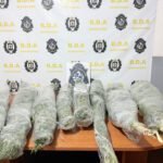 Rivera: detuvieron al padre del niño intoxicado con cocaína, hubo condena por hurto y nuevos procedimientos policiales