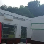 Accidente mortal en Maldonado: un árbol caído, dos autos y presencia de alcohol