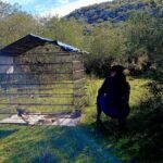 Rescataron 30 aves autóctonas y las liberaron en áreas protegidas de Lavalleja