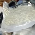 Canelones: retiraron un mono de una vivienda tras denuncia de una familia