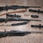 Rescataron 30 aves autóctonas y las liberaron en áreas protegidas de Lavalleja